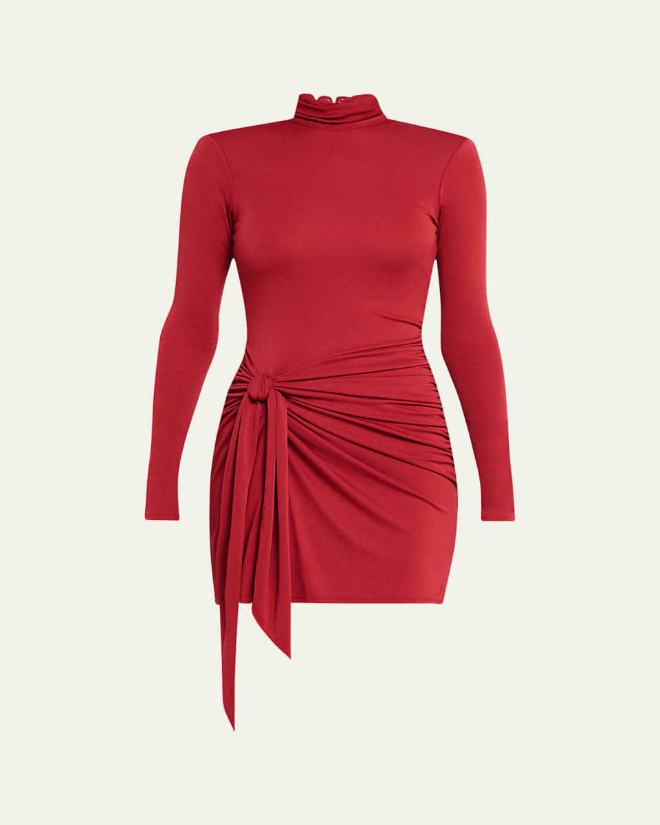 Johnson Long-Sleeve Knit Mini Dress